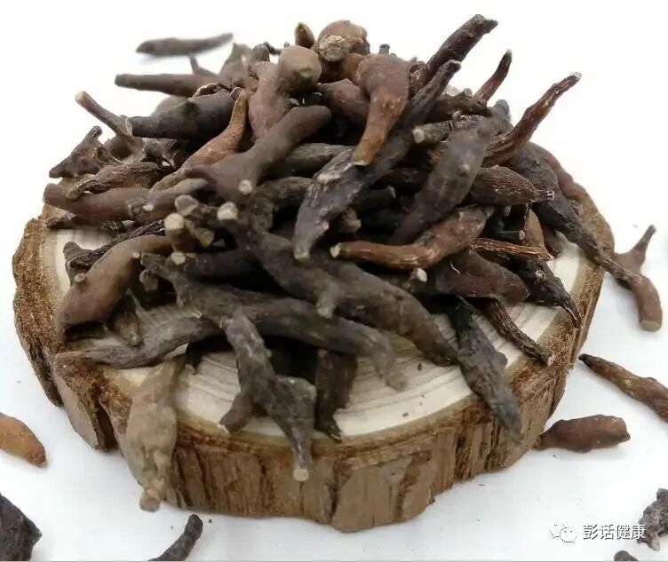 每日学习一味中药：两头尖