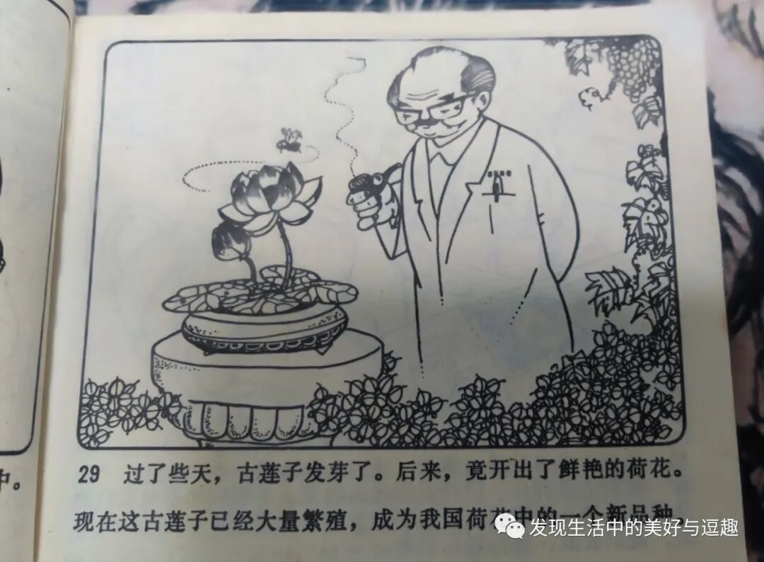 这本连环画的创意竟然比电影《侏罗纪公园》还要早个15年 这本连环画的创意竟然比电影《侏罗纪公园》还要早个15年