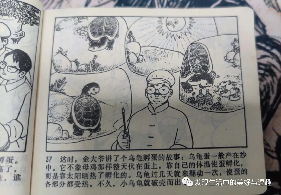 这本连环画的创意竟然比电影《侏罗纪公园》还要早个15年 这本连环画的创意竟然比电影《侏罗纪公园》还要早个15年