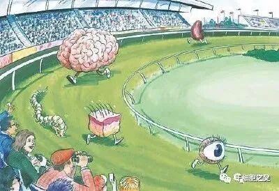 新无限医疗怎么加盟干细胞再续生命的无限可能，在难治性疾病治疗上带来新突破_https://www.jmylbn.com_新闻资讯_第1张