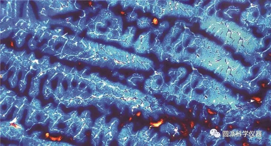 金相微观结构图片