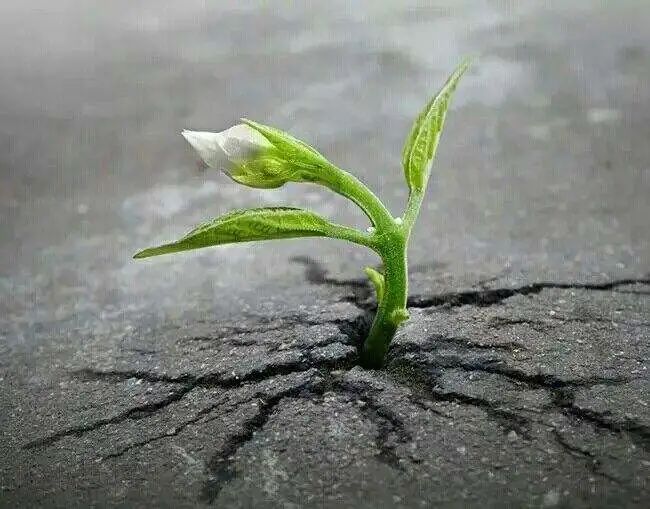 能量超乎想象广告_你的能量超乎你想象_能量超乎想象是夸人吗