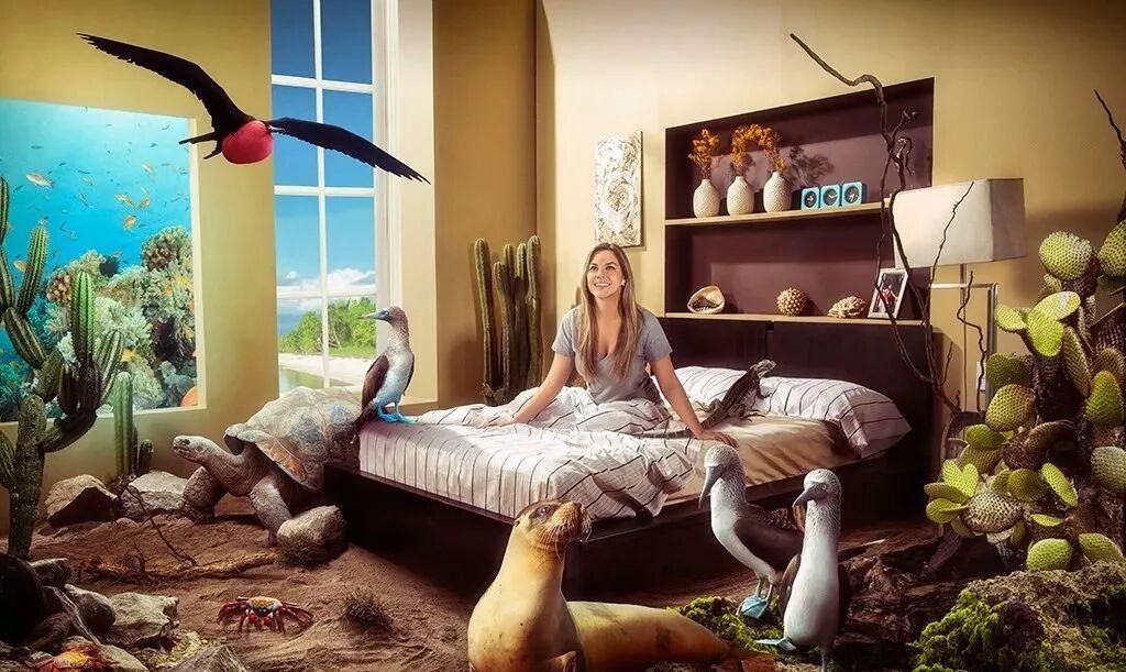 电商视觉设计学习资源 含教程\素材\案例【188期】