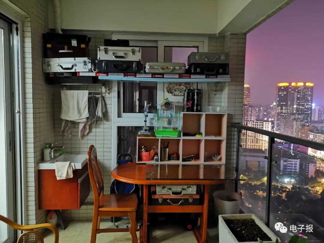 我的DIY乐园曾广伦 