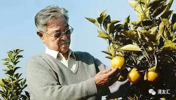 90岁马勇霞：赚快钱的黄金时代往后了，青年人要先搞好这4件事