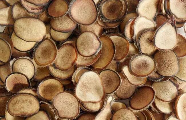 鹿茸可以和西洋参一起泡酒吗？原来还有这么多功效