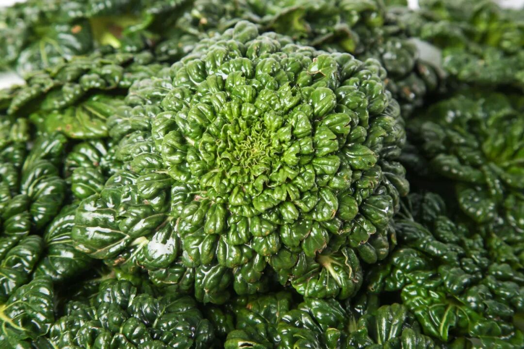 给厨师朋友推荐一款宝藏蔬菜!口味赛羊肉,美食家都为