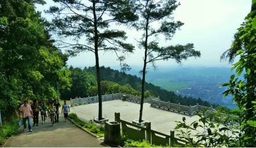 局供圖▲左為羚羊峽古棧道森林公園 梁志鋒攝 右為高要象山森林公園