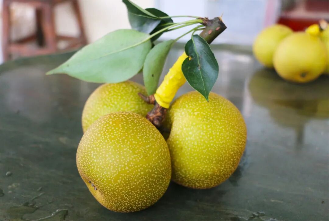 公益领域超好吃这种从小喝牛奶长大的梨