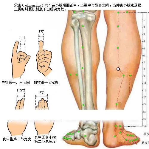 承山穴