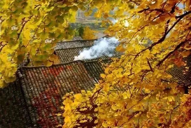 【慢享山水●轻奢度假西溪森林温泉】￥699纯玩3天~泡原生态森林温泉+享无边际温泉池、金秋赏银杏黄金大道、千年古老原始瑶寨