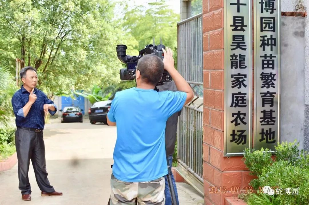 养蛇致富经_养蛇致富经_养蛇致富经