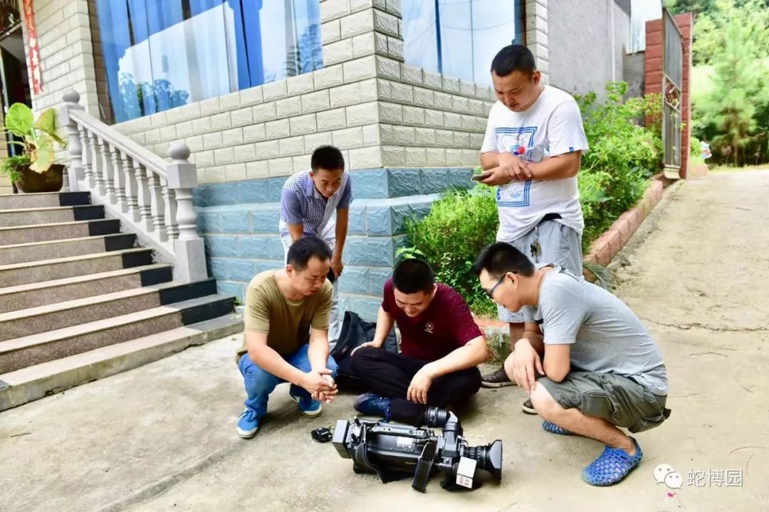 养蛇致富经_养蛇致富经_养蛇致富经