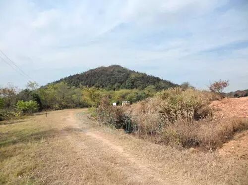 江苏文化日历 | 苏州真山大墓挖掘 墓主或为吴王寿梦