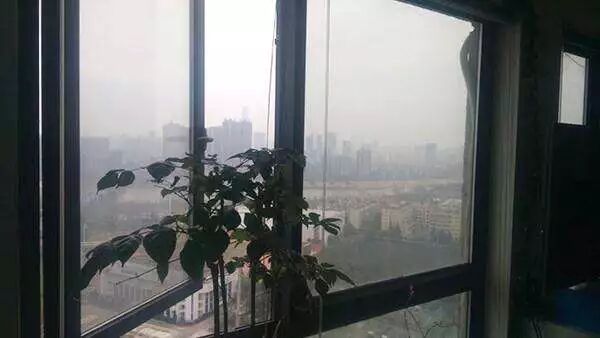 開(kāi)窗除甲醛