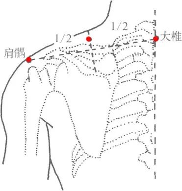 每日一穴丨肩井