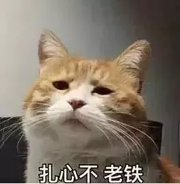 https://image.ipaiban.com/upload-ueditor-image-20180218-1518928474942071823.jpg