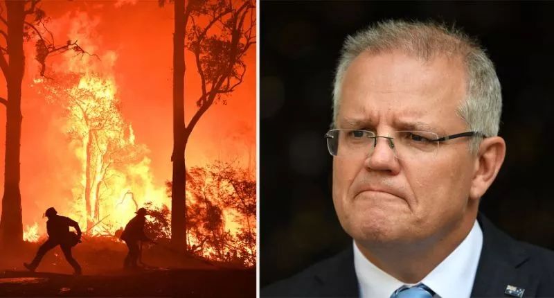 一把大火，烧出了澳大利亚总理莫里森的原型