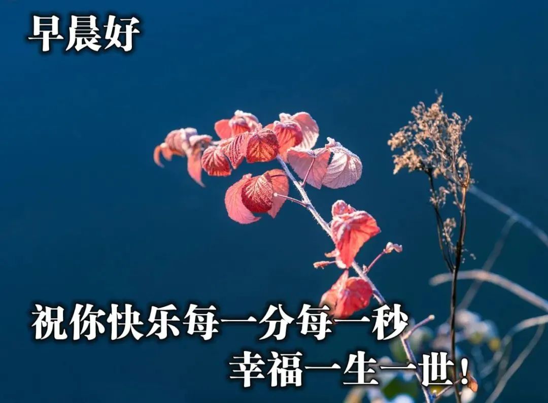 落叶像什么像什么补充句子