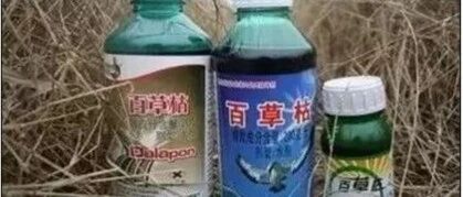 百草枯，给你后悔的时间，却不给你活着的机会！