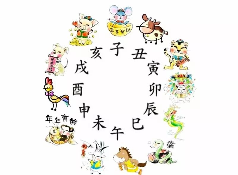 在十二时辰里，读懂我们的一生！