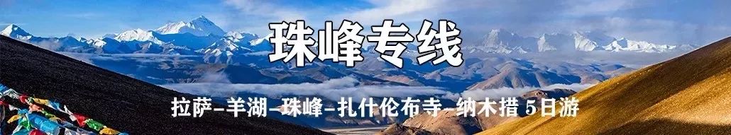 秋天的西藏，看一眼就想辭職 旅遊 第67張