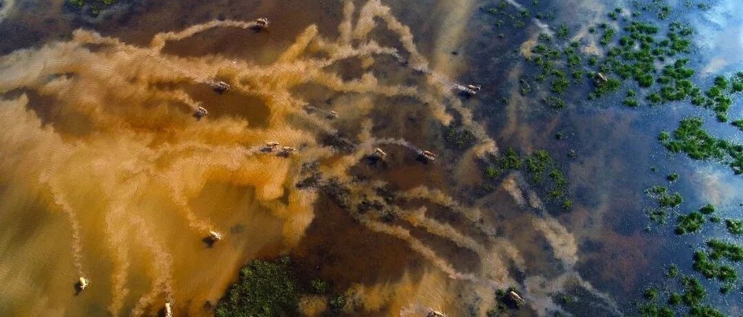 江苏这座千年“水乡泽国”，终于藏不住了！