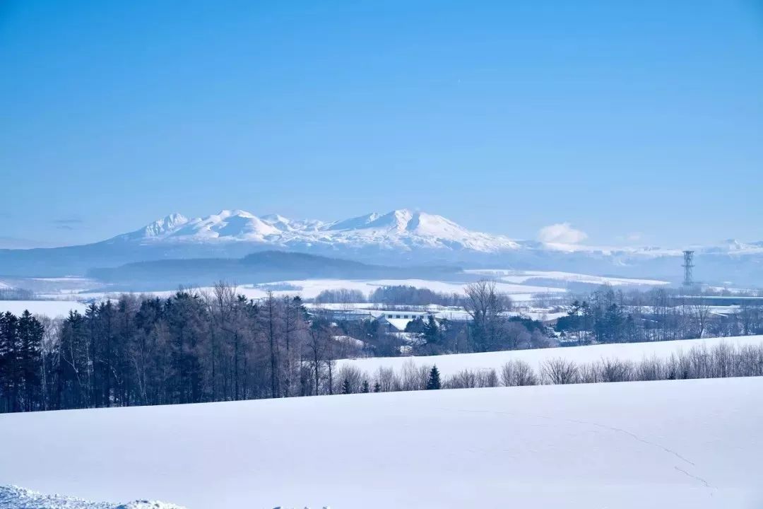 去北海道邂逅冬天的浪漫 旅遊 第2張