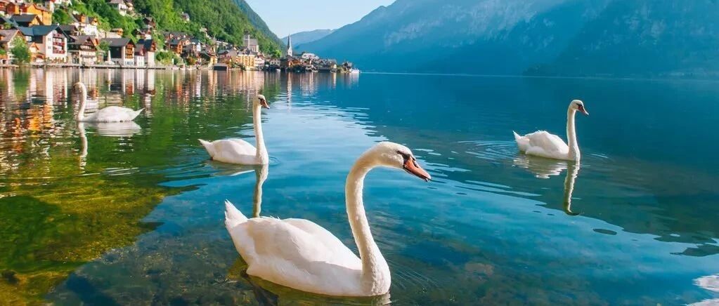 又一个天堂小镇将变成“限量版美景”，再不出发就晚了！