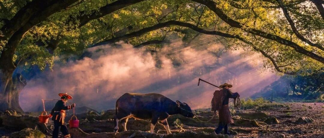 看了这些景区的素颜照，我再也不想去了！