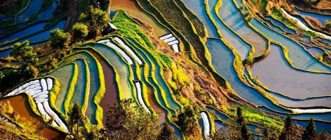 越是冬天，越不能不去元阳梯田！