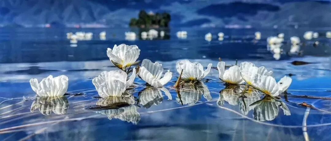 它是中国最水性杨花的地方，美到哭!每年都有100万人抢着去