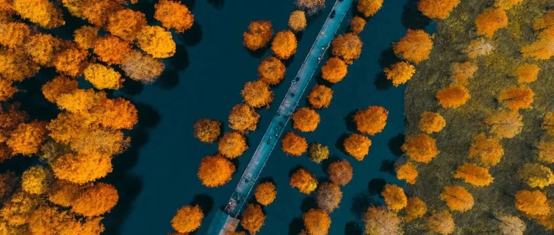 2021最值得去的地方Top10