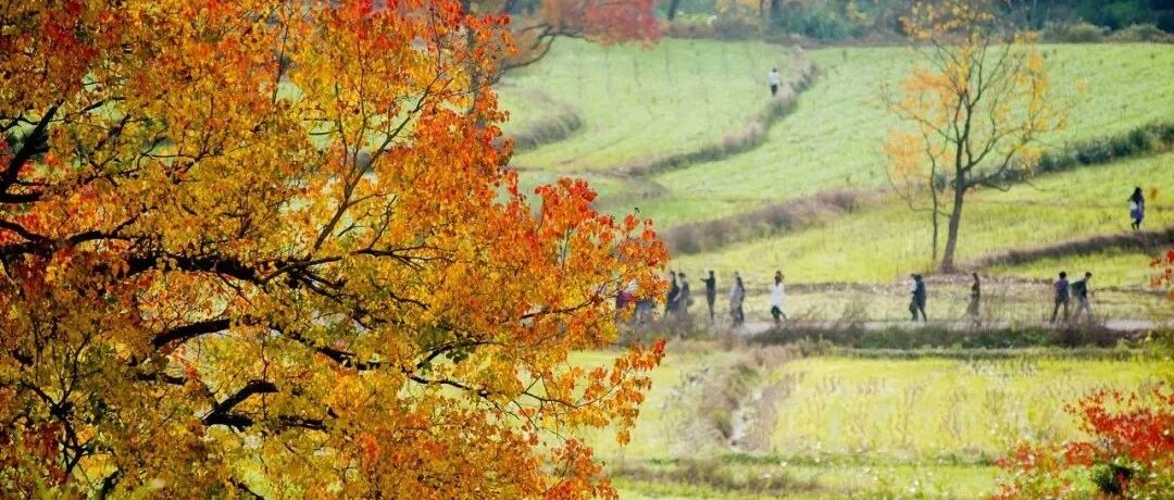 比婺源美10倍！这座徽州小村，光看图已醉