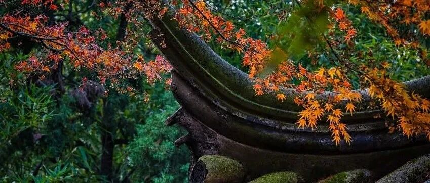 如果你累了，就去苏州小住几天