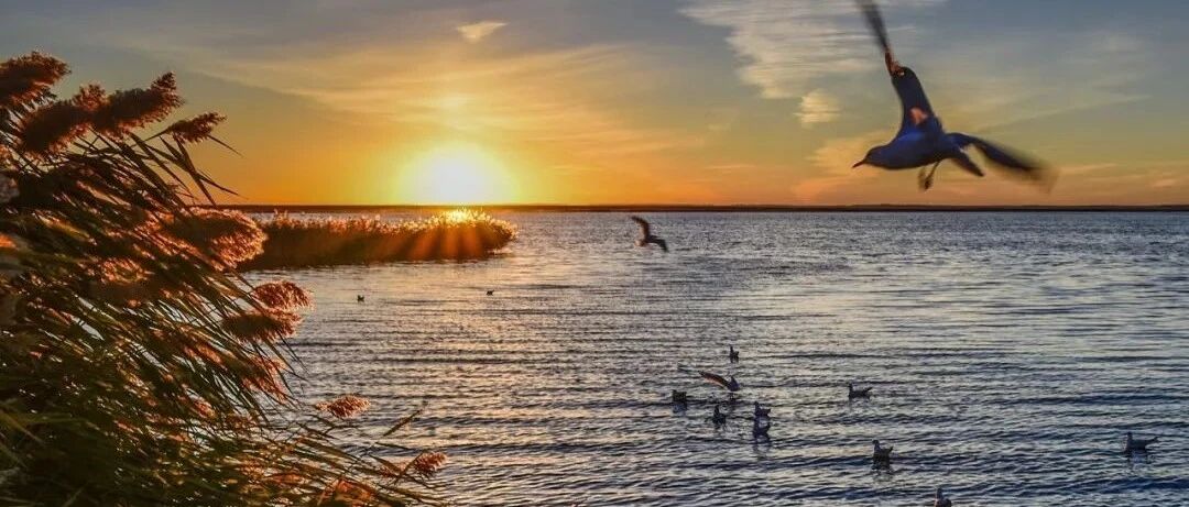 10个人少景美的小众旅行地，去过5个就是旅行达人