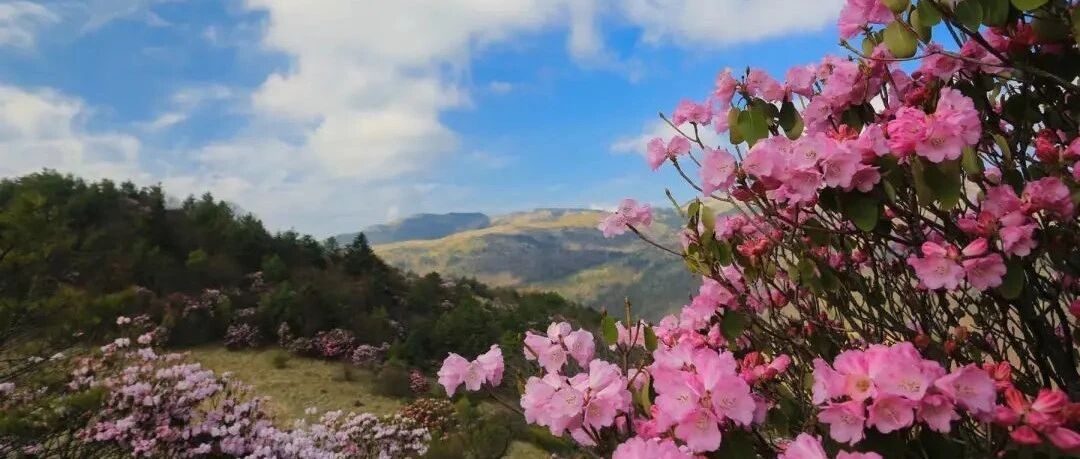 6月份国内最美的8个地方，累了就去小住三五天吧
