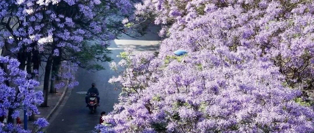 适合五一出游的小众旅行地清单来了!