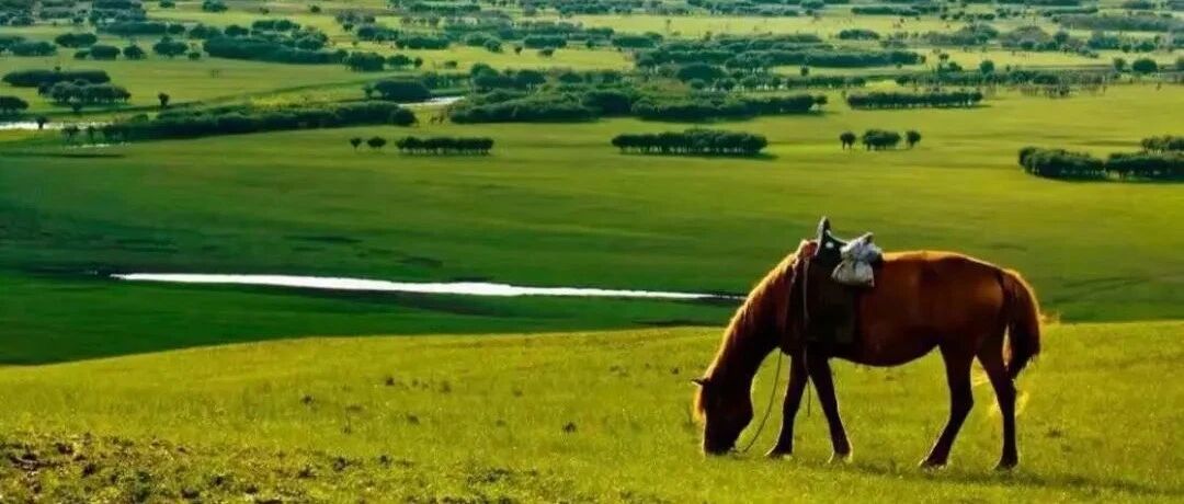 国内最适合一个人旅行的9个地方，累了就出来走一走吧