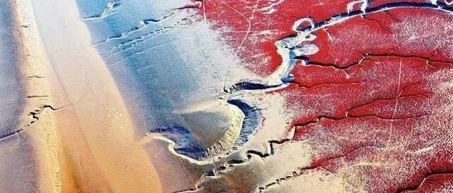 中国最美六大沼泽湿地~