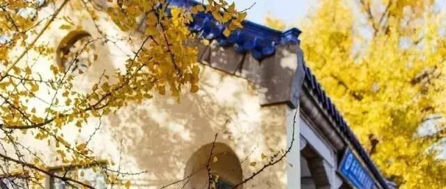 这些地方现在美疯了！有你想去的地方吗？