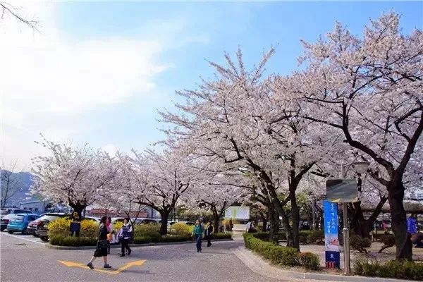 來首爾不能錯過這些地方 旅遊 第6張