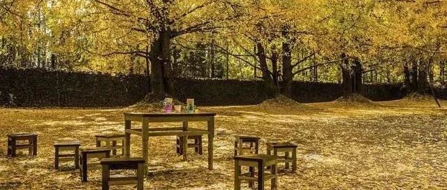 最适合冬季旅行的10个地方，温暖且没有雾霾！
