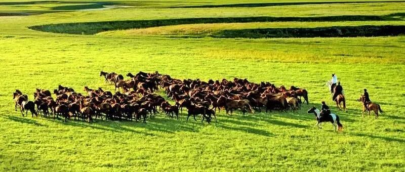 不去桂林，不去九寨沟，这才是五一最安逸旅行清单!不负大好假期~