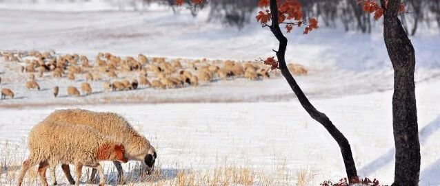 中国冬天最勾魂的10个地方，总有一个你想去的！