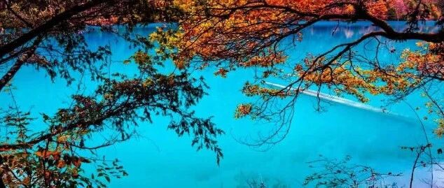 冬季的九寨沟，才是真正的人间仙境