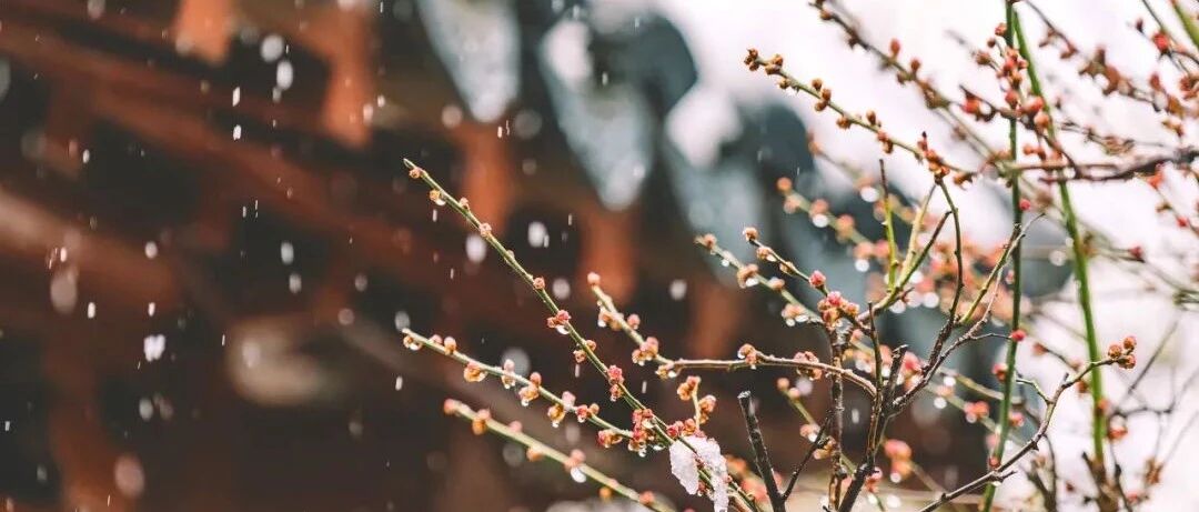 3月，这9个地方不可错过