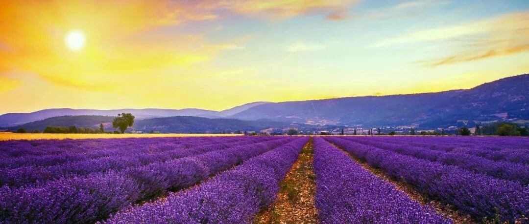 50岁之前必去的30个绝美地方，你还差几个?