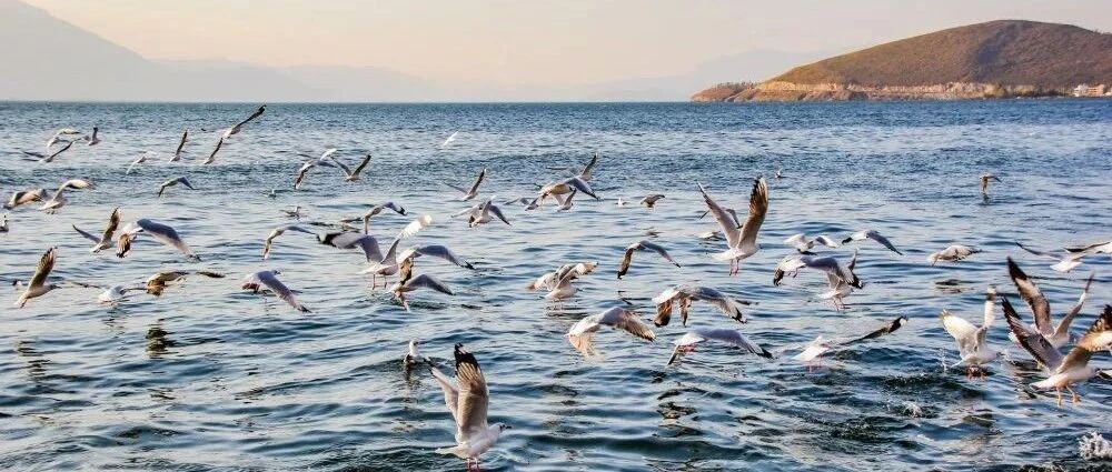 国内最浪漫的5个地方，去过3个的情侣可以结婚了