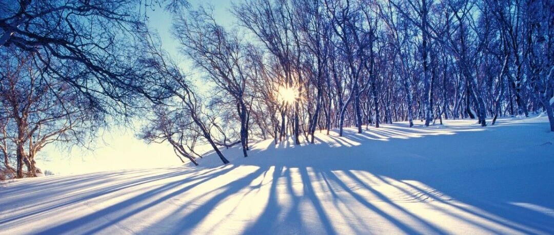 去东北，玩雪吧~